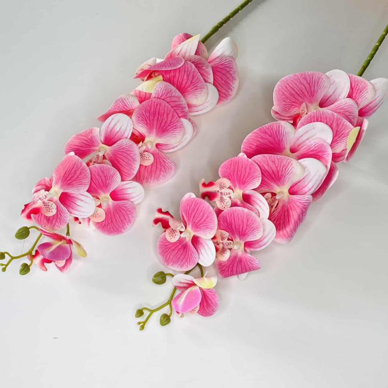 Загружен программно: img_1060.jpg