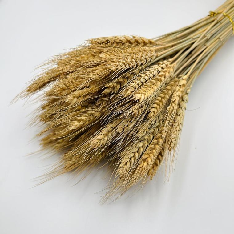 Загружен программно: img_1112.jpg