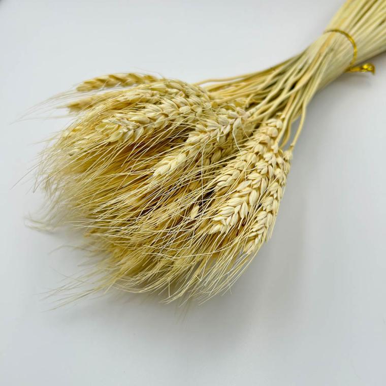 Загружен программно: img_1113.jpg