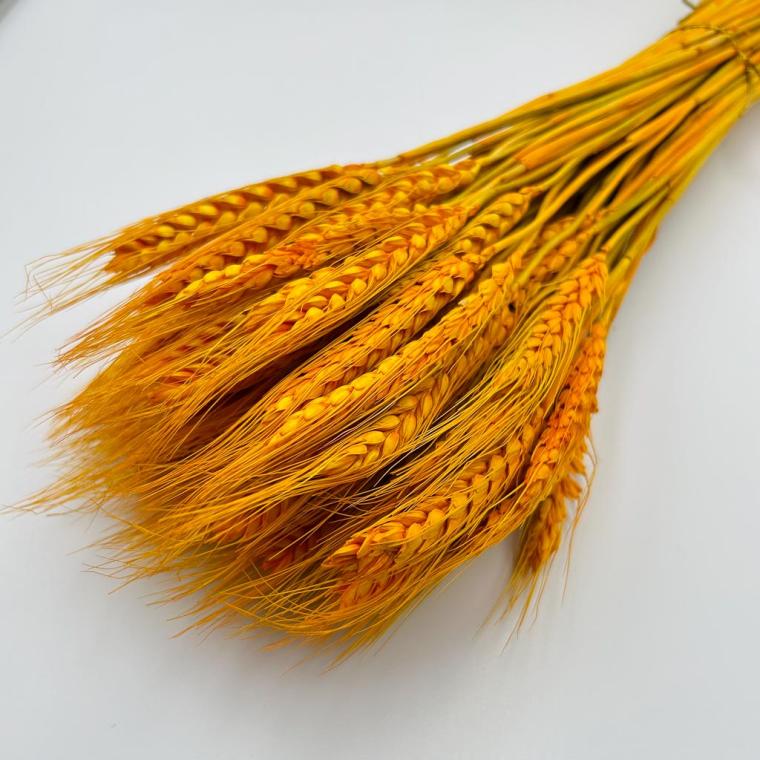 Загружен программно: img_1114.jpg