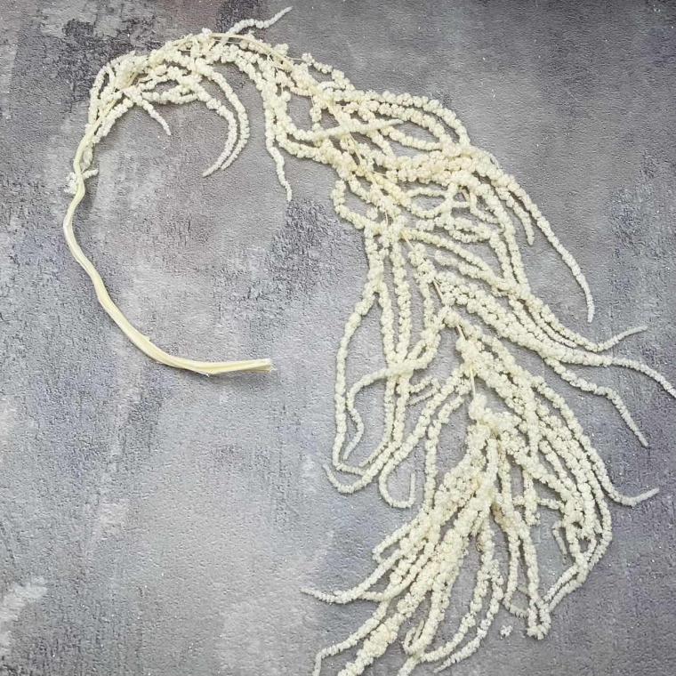 Загружен программно: img_1127_0.jpg