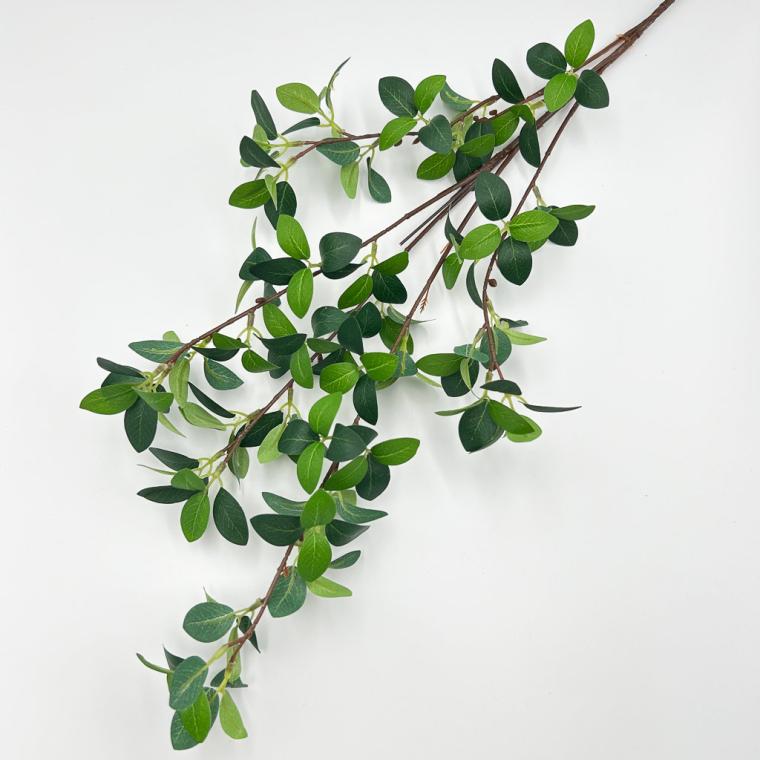 Загружен программно: img_1156.jpg