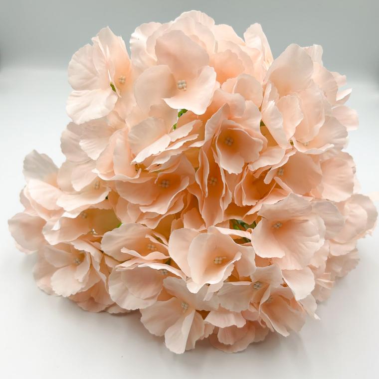 Загружен программно: img_1170.jpg