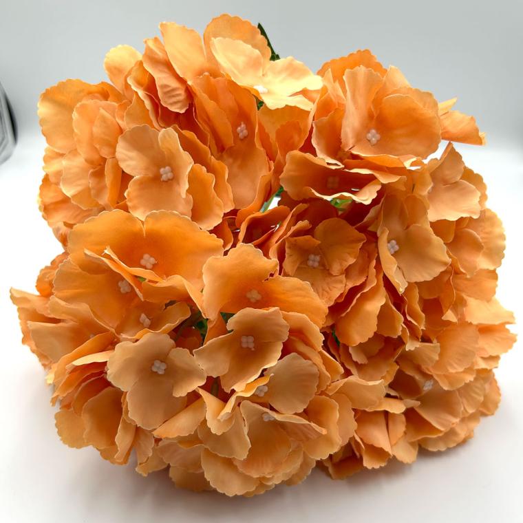 Загружен программно: img_1171.jpg