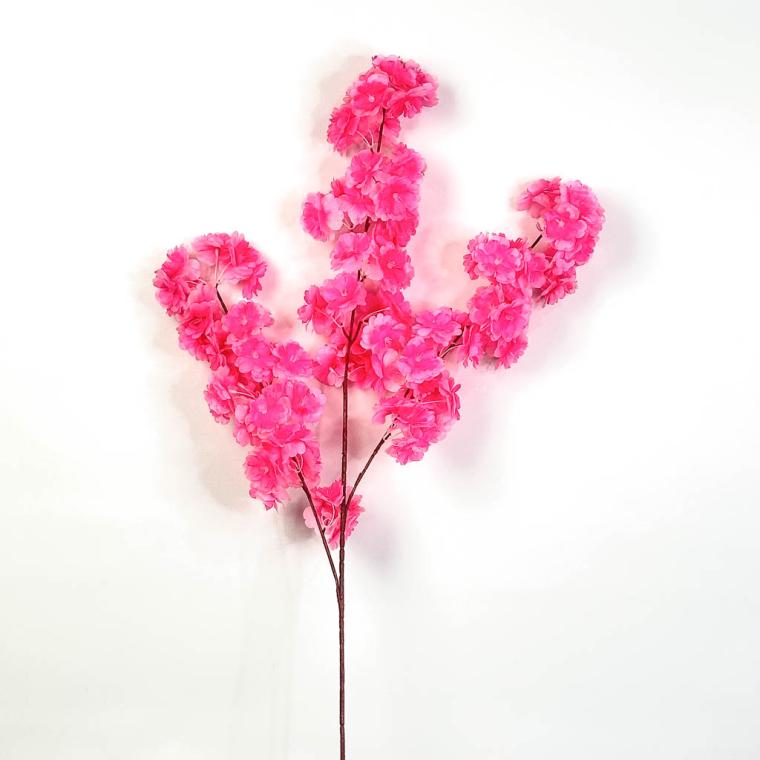 Загружен программно: img_1245_1.jpg