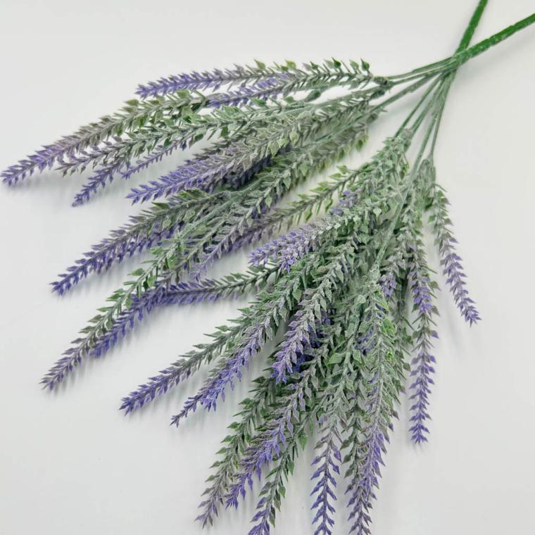 Загружен программно: img_1270.jpg