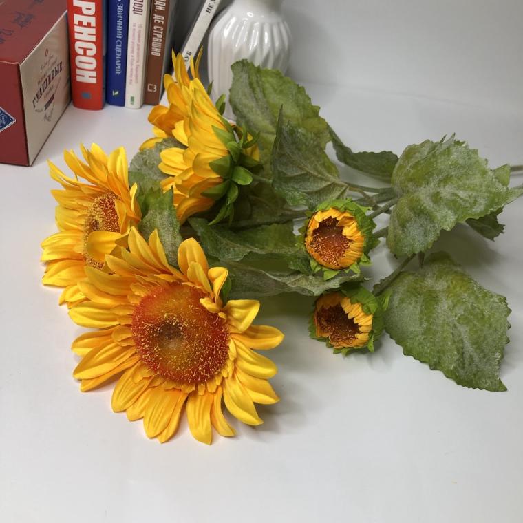 Загружен программно: img_1338.jpg