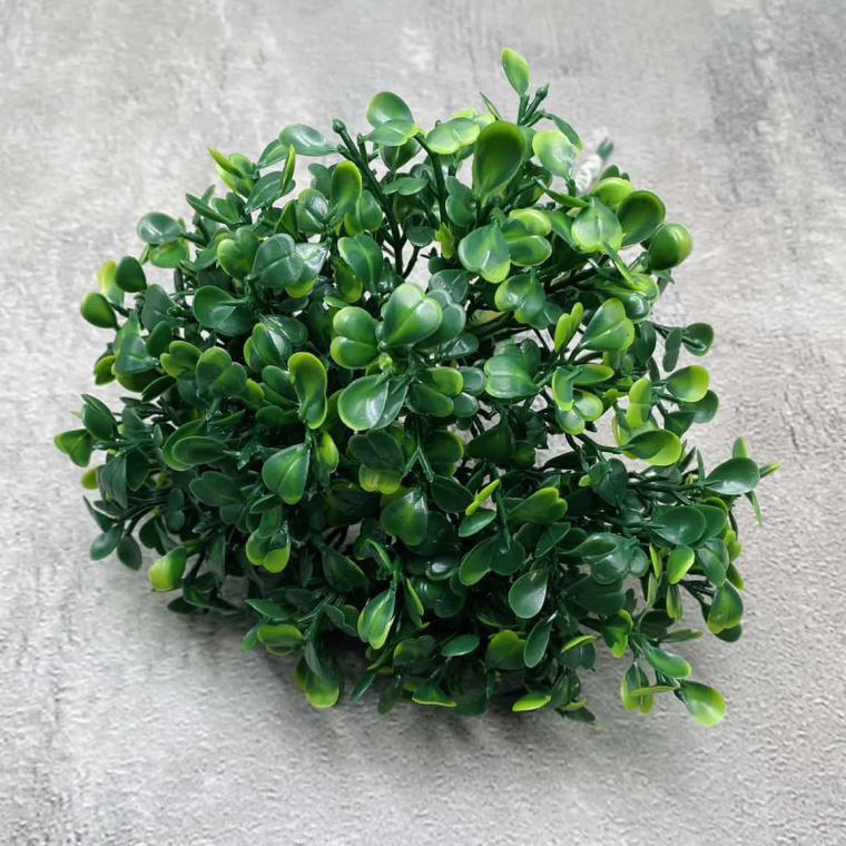 Загружен программно: img_1342_0.jpg