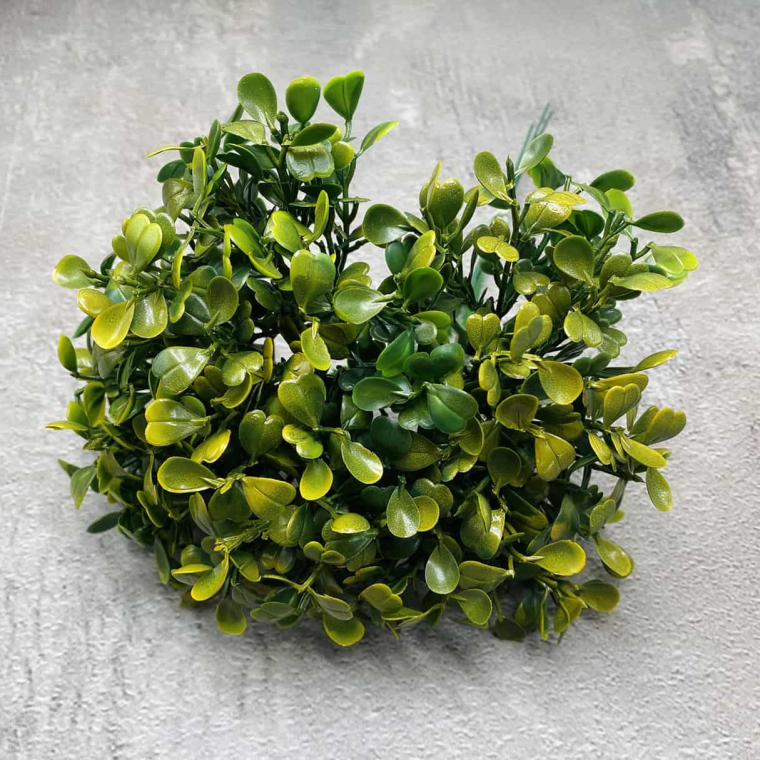 Загружен программно: img_1346_0.jpg