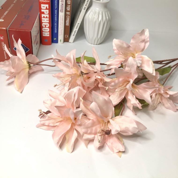 Загружен программно: img_1353.jpg