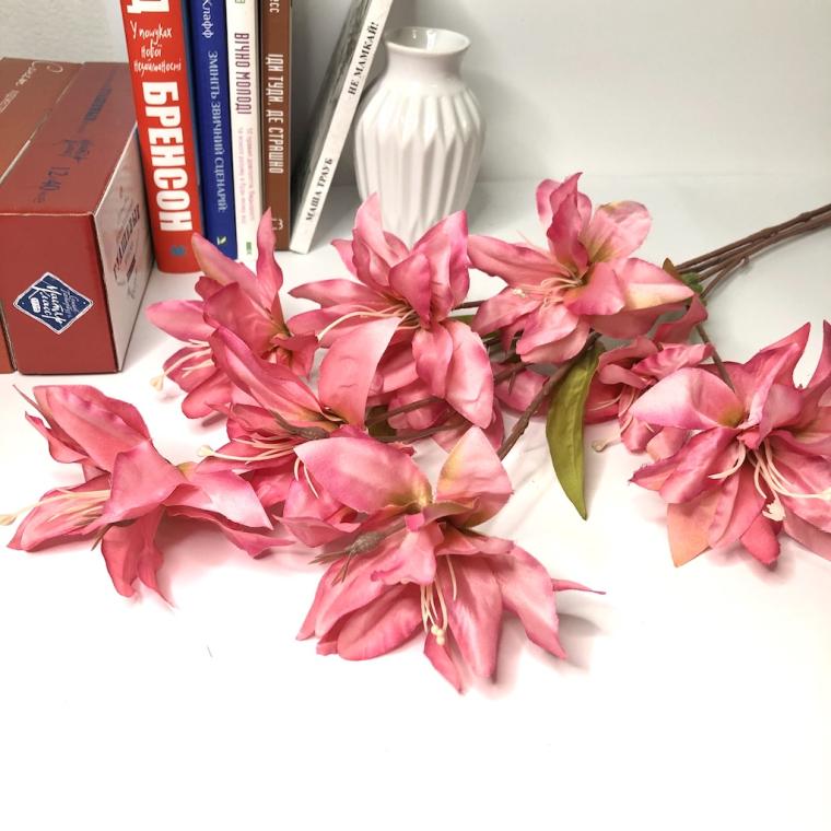 Загружен программно: img_1354.jpg