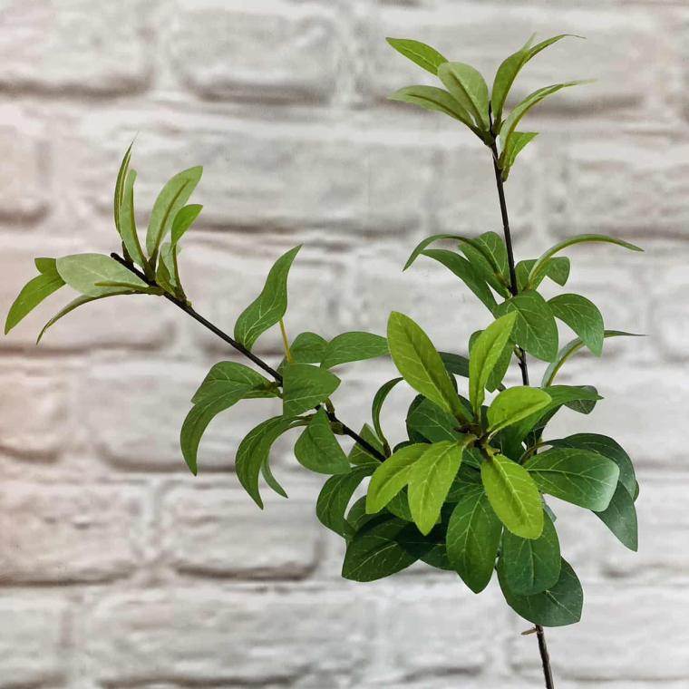 Загружен программно: img_1383.jpg