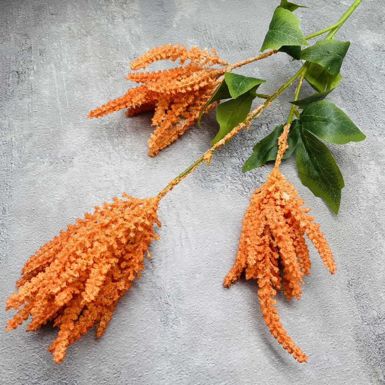 Загружен программно: img_1422.jpg