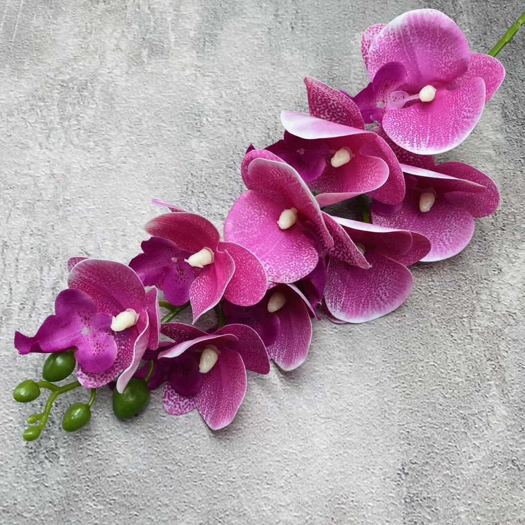 Загружен программно: img_1428.jpg