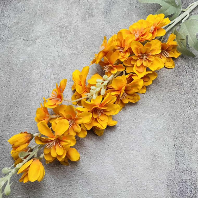 Загружен программно: img_1470_0.jpg