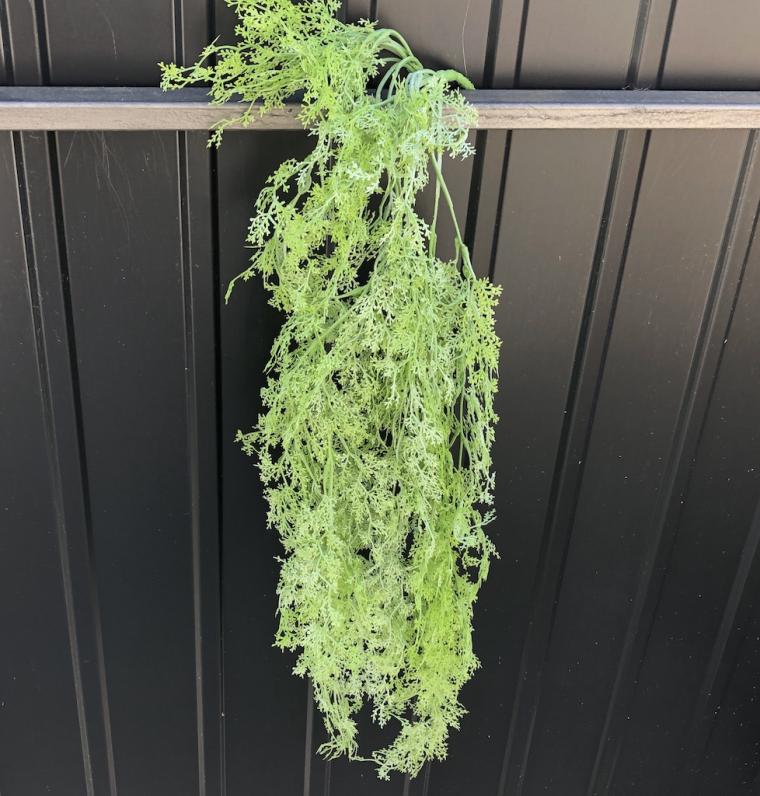 Загружен программно: img_1473.jpg