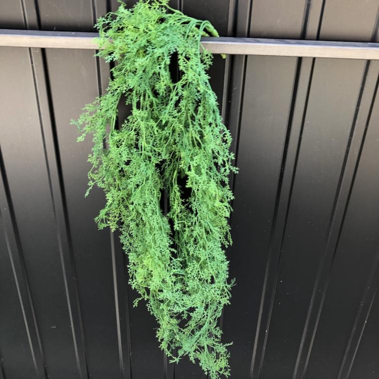 Загружен программно: img_1477.jpg