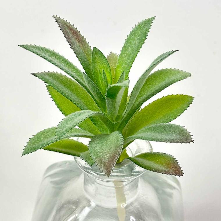 Загружен программно: img_1501.jpg