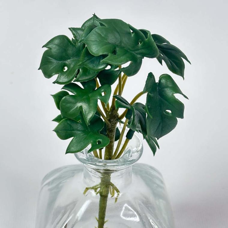 Загружен программно: img_1537.jpg