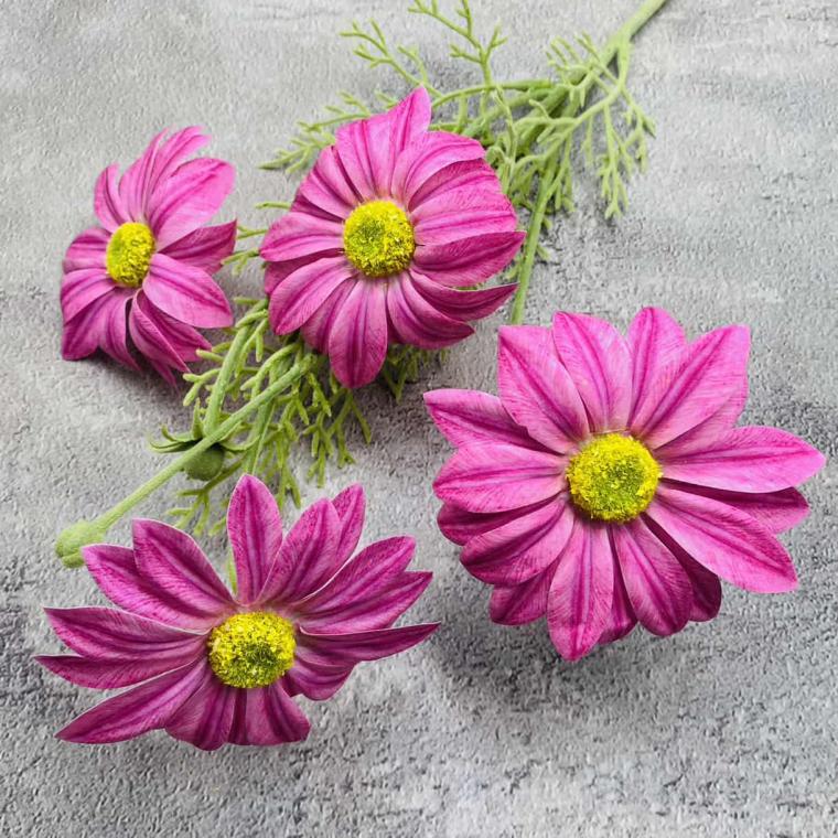 Загружен программно: img_1547.jpg