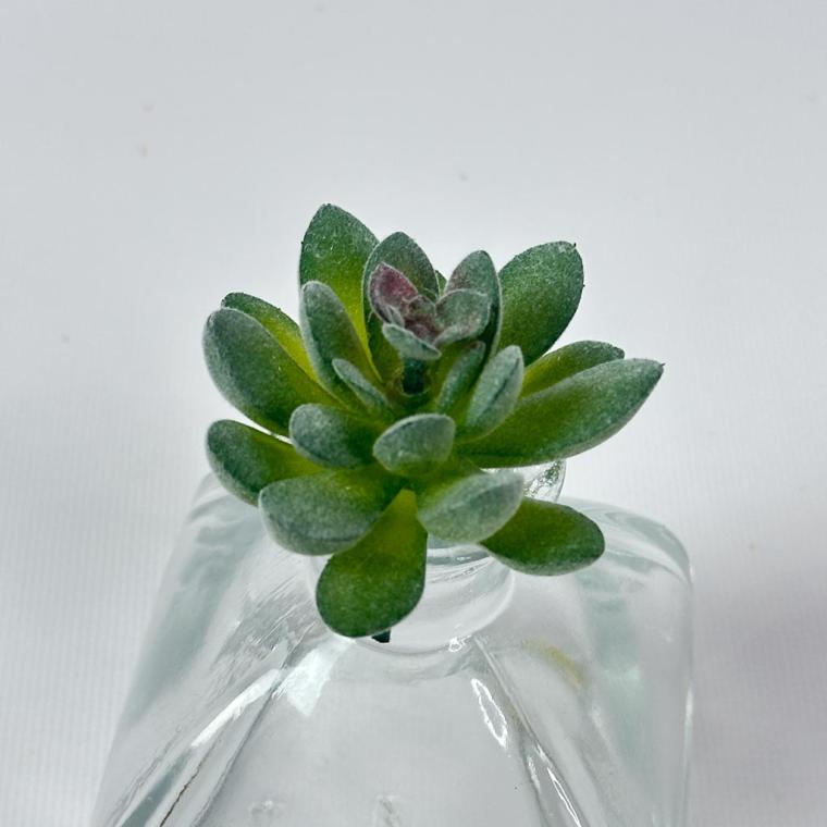 Загружен программно: img_1561_0.jpg