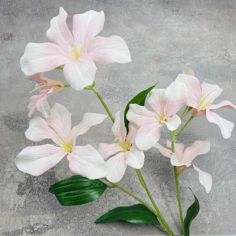 Загружен программно: img_1586.jpg