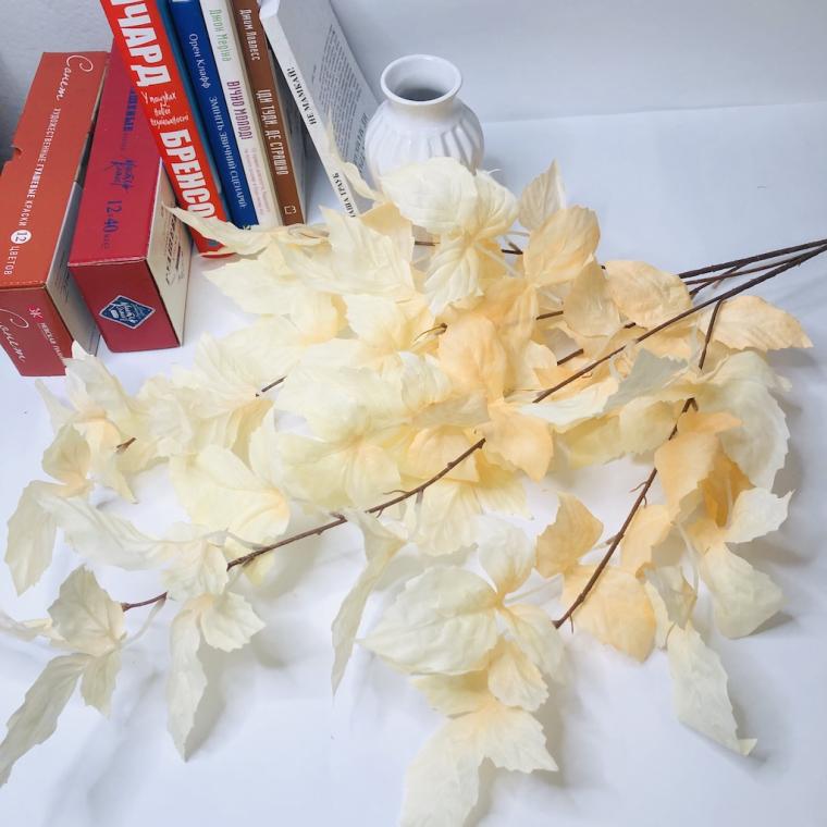 Загружен программно: img_1589.jpg