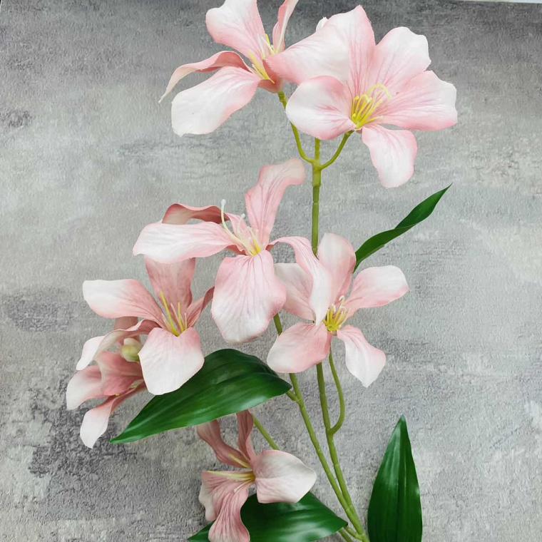 Загружен программно: img_1590.jpg