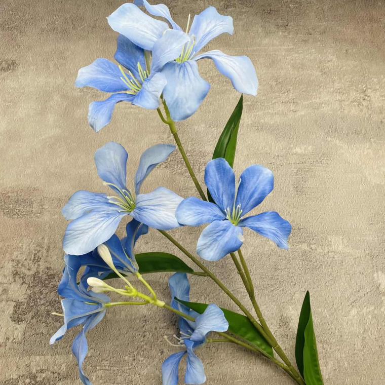 Загружен программно: img_1594.jpg