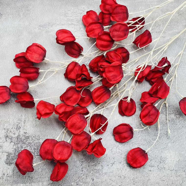 Загружен программно: img_1621.jpg