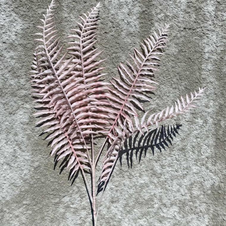 Загружен программно: img_1696.jpg