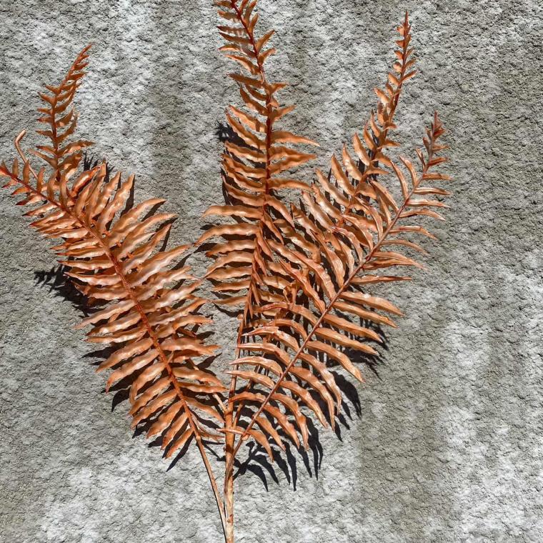 Загружен программно: img_1704.jpg