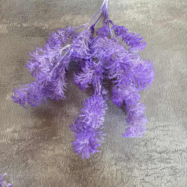 Загружен программно: img_1721.jpg