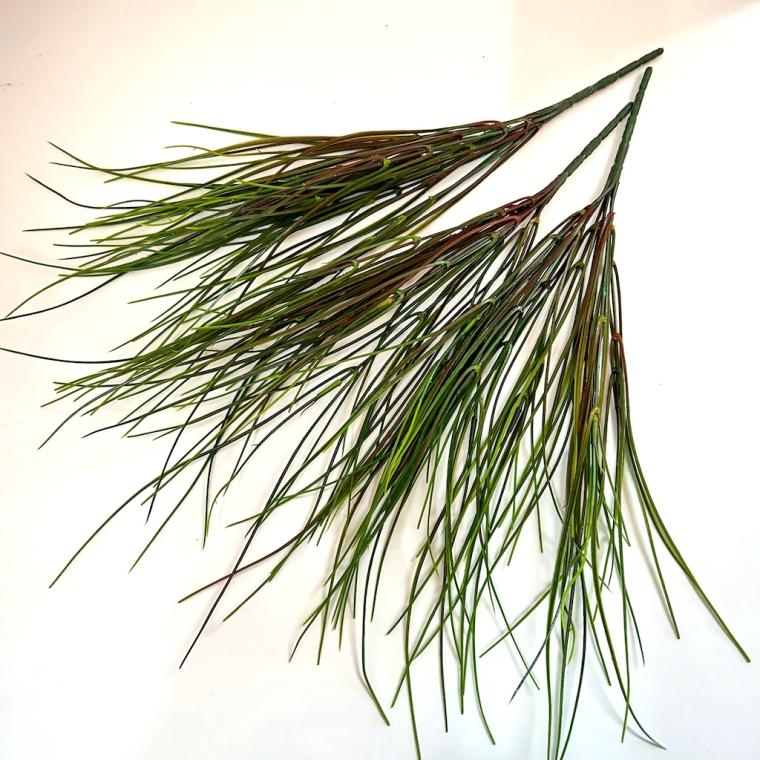 Загружен программно: img_1793.jpeg