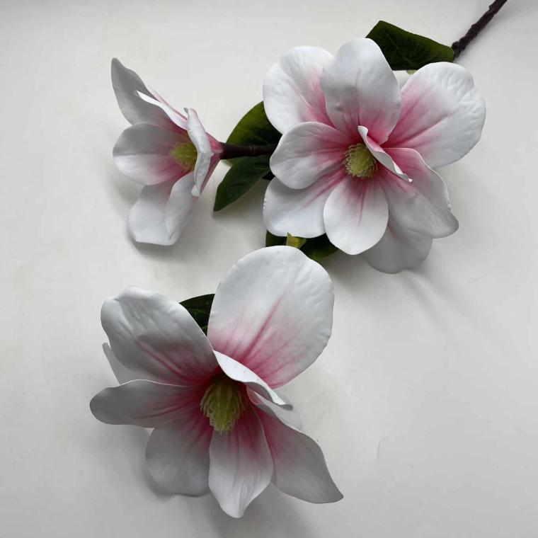 Загружен программно: img_1894.jpg