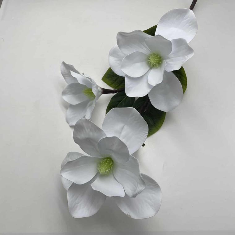 Загружен программно: img_1895.jpg