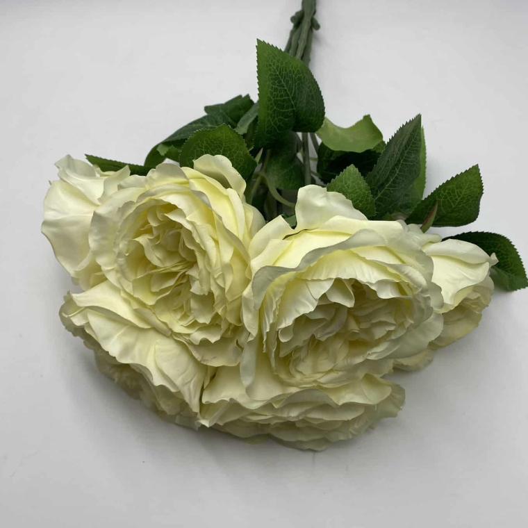 Загружен программно: img_1937.jpg