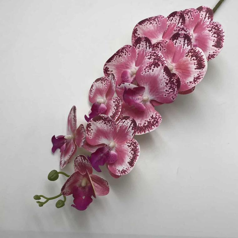 Загружен программно: img_2047.jpg