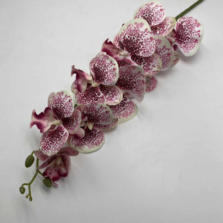 Загружен программно: img_2048.jpg