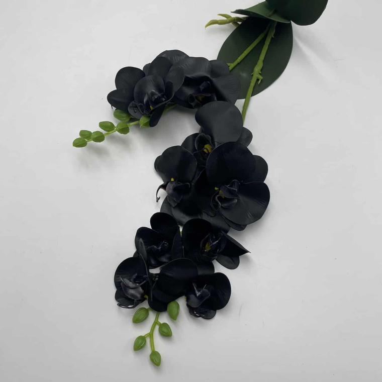 Загружен программно: img_2058.jpg