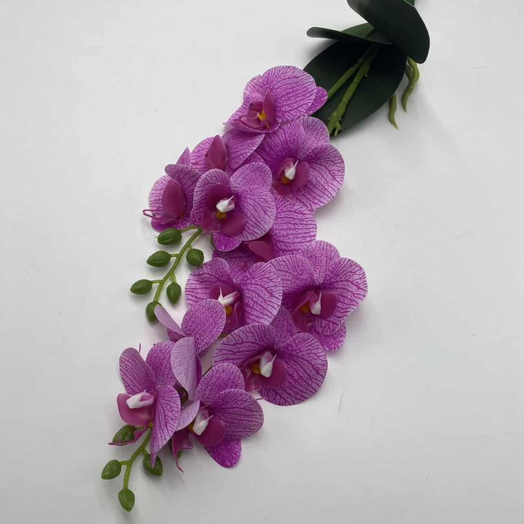 Загружен программно: img_2060.jpg