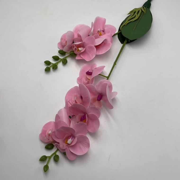 Загружен программно: img_2061.jpg