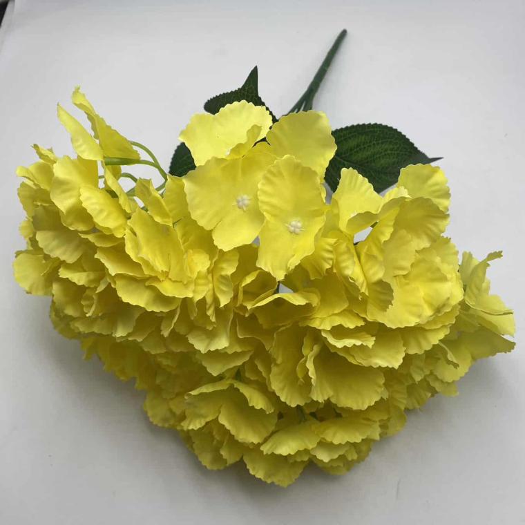 Загружен программно: img_2123.jpg