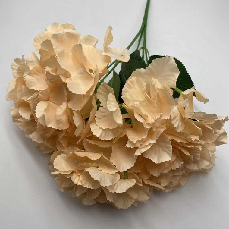 Загружен программно: img_2124.jpg