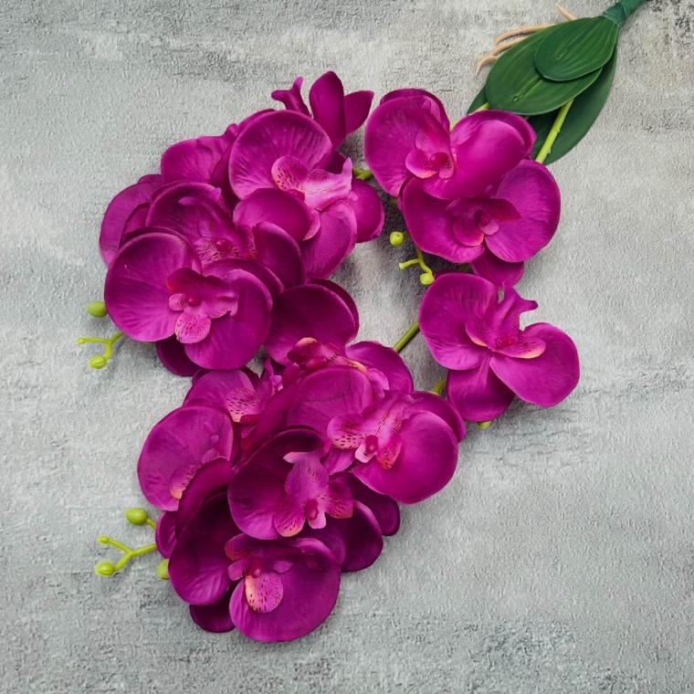 Загружен программно: img_2276_-_krupnyy_razmer.jpeg