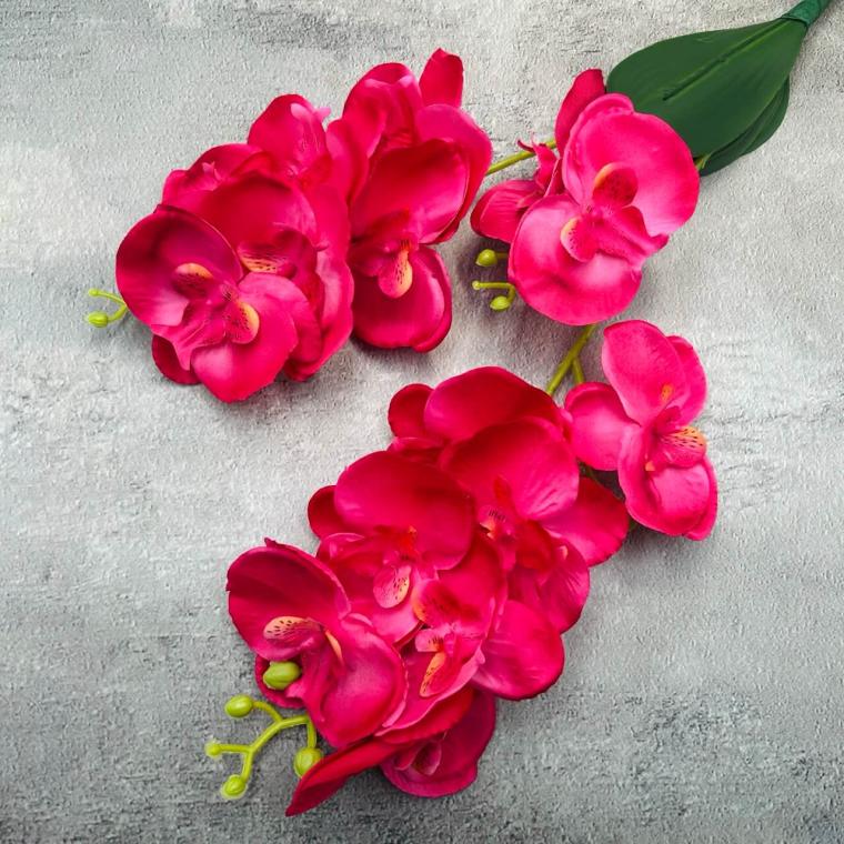 Загружен программно: img_2283_-_krupnyy_razmer.jpeg