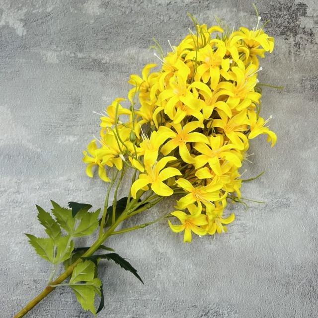 Загружен программно: img_2314_-_sredniy_razmer.jpeg