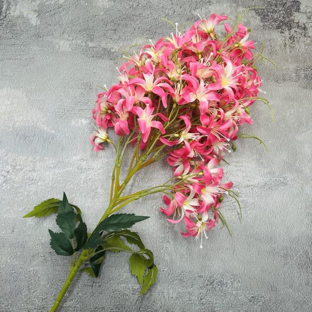 Загружен программно: img_2316_-_sredniy_razmer.jpeg