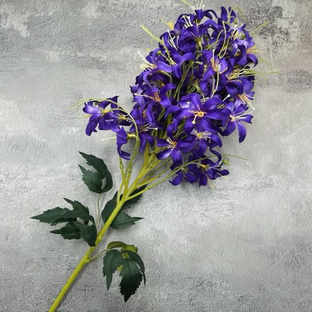 Загружен программно: img_2318_-_sredniy_razmer.jpeg