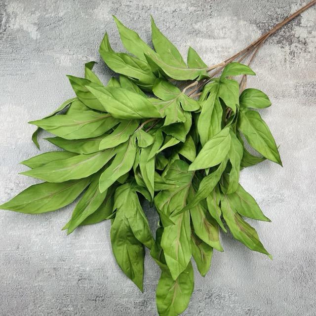 Загружен программно: img_2351_-_sredniy_razmer.jpeg